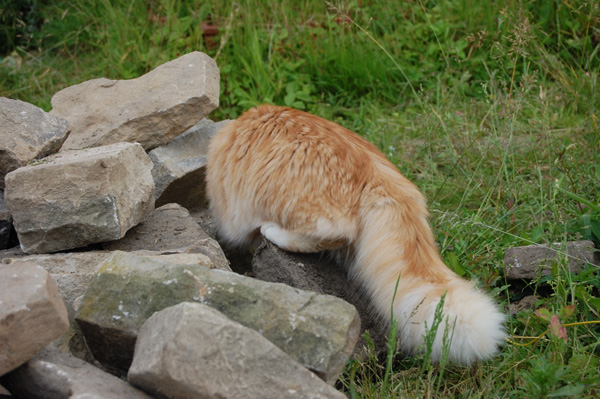 mal die Rückansicht.jpg